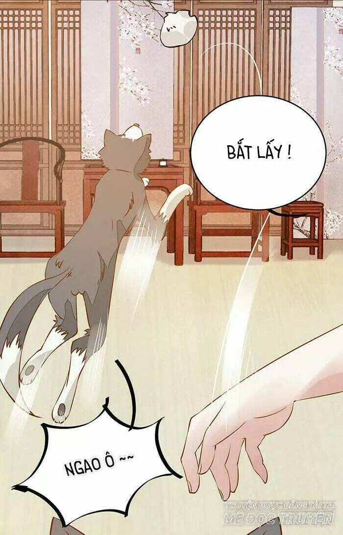 công chúa là nam nhân chapter 17.2 1