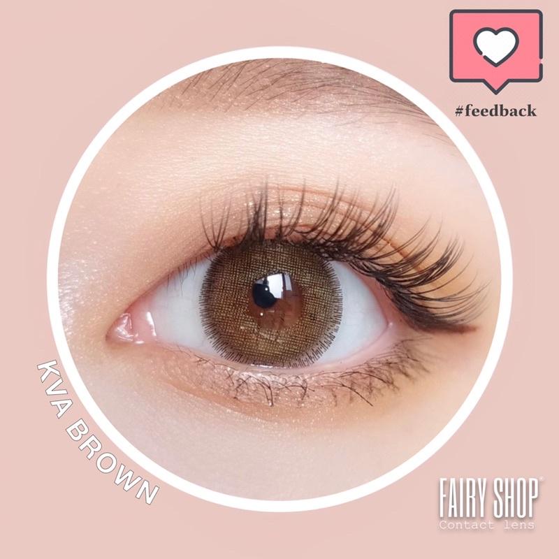 Kính Áp tròng Nobluk brown Kva brown 14.0mm - FAIRY SHOP CONTACT LENS độ 0 đến 8