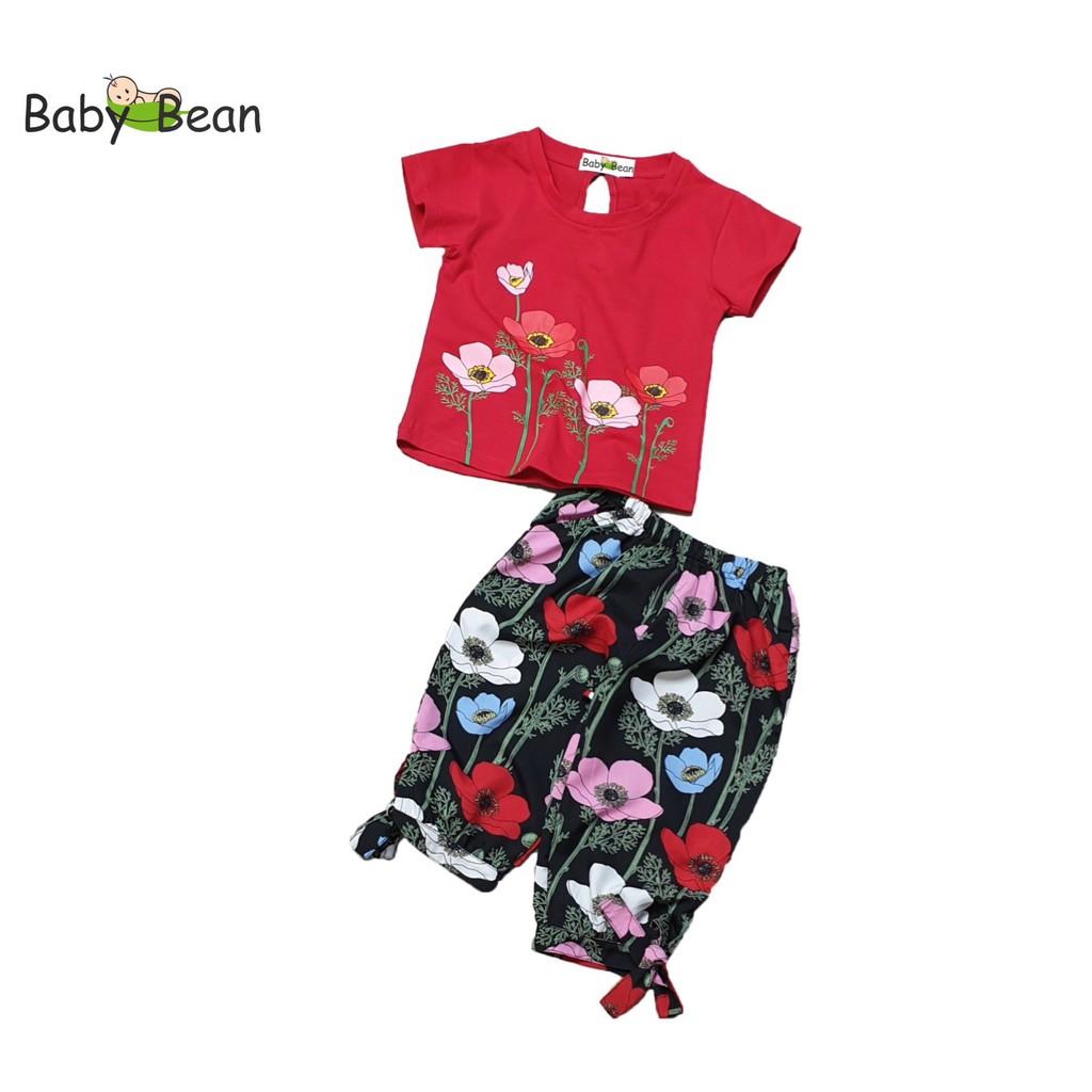 Đồ Bộ Lửng Áo Thun Cotton Quần Hoa Rực Rỡ bé gái BabyBean