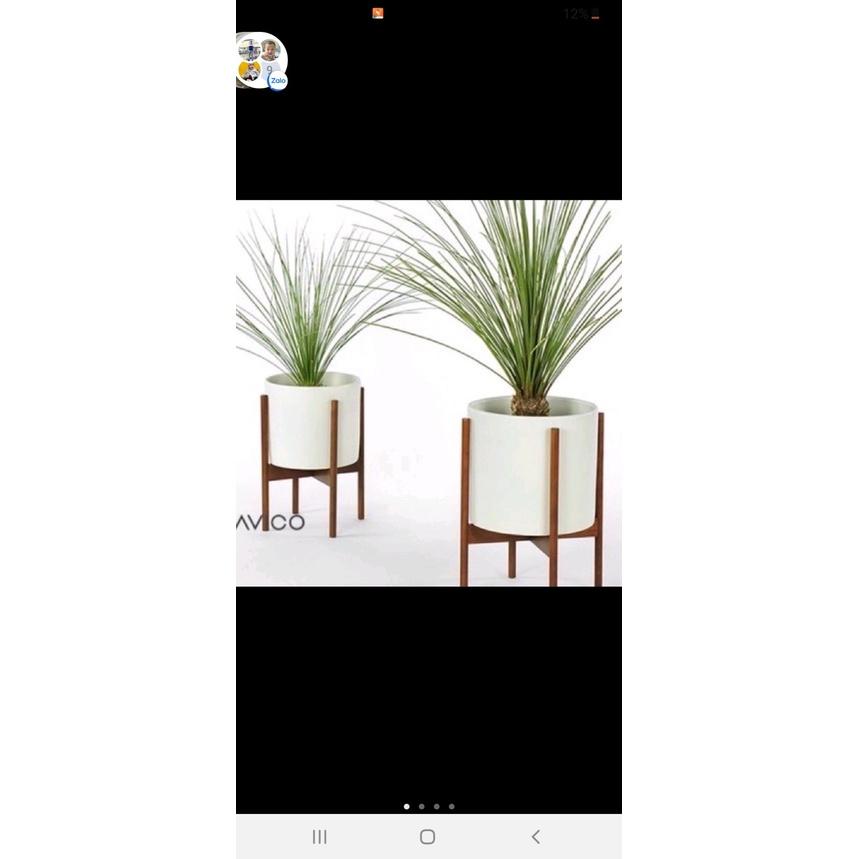 Chậu nhựa trồng cây hoa, cây giả cao cấp cao 40cm, 30cm, 20cm hình tròn, hình vuông