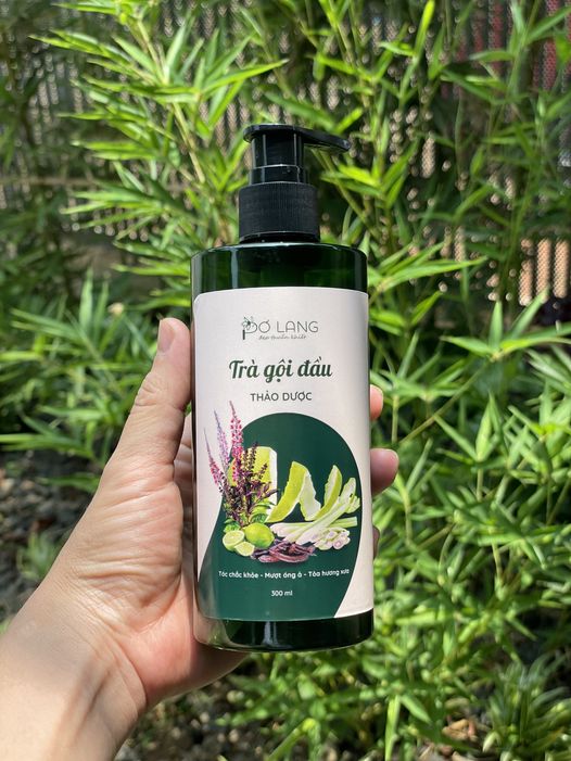 Trà gội đầu Thảo dược Pơ Lang - Có tạo bọt
