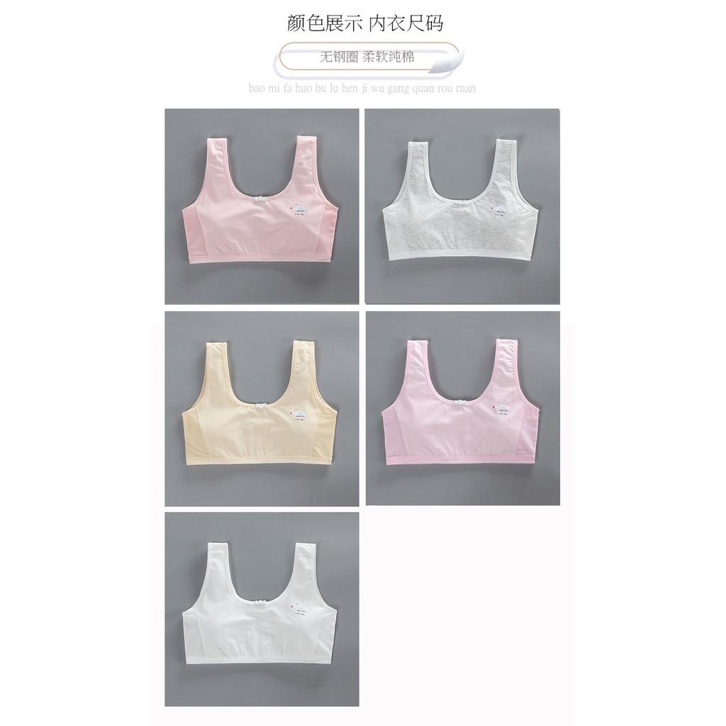 Bra / Áo Lá Học Sinh Hai Lớp Cotton Xuất Hàn Hàng Loại Đẹp.