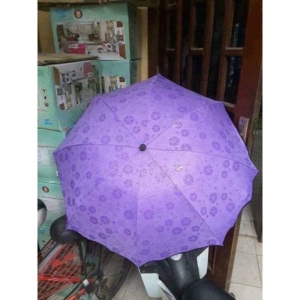 Dù nở hoa anh đào khi gặp nước ,ô dù che mưa nắng chống tia UV ,thời trang nhỏ gọn tiện mang theo