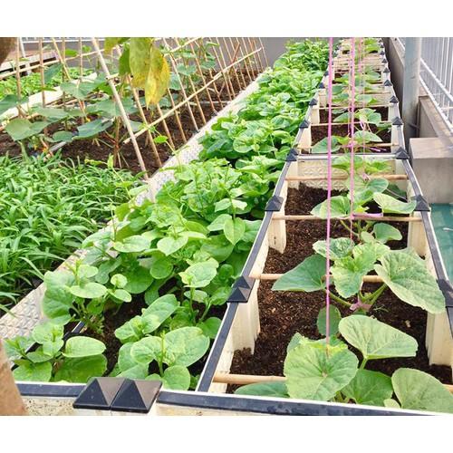 Phân hữu cơ cao cấp Nhật Bản 1,5K -Tặng 1 gói hạt giống bất kỳ
