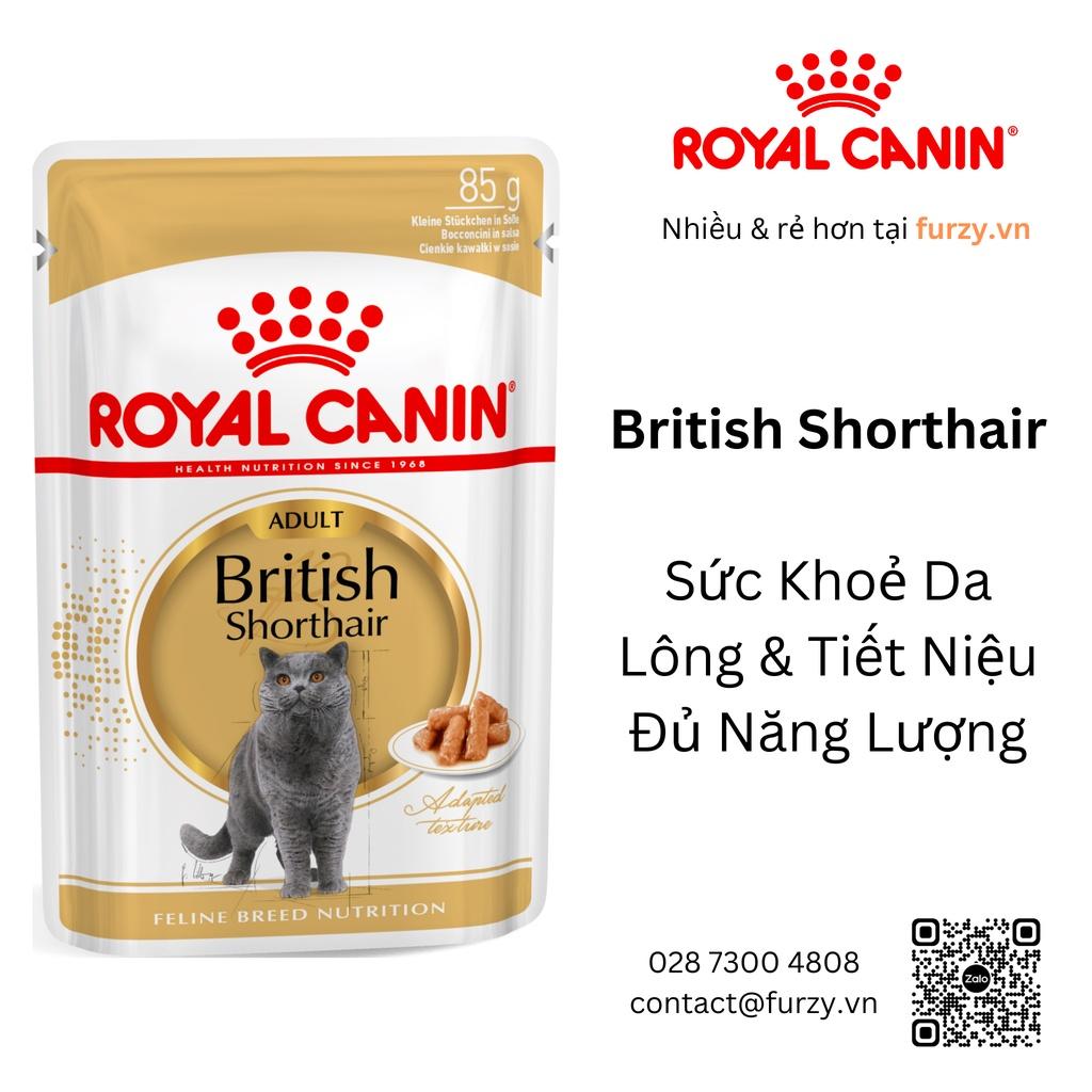 Royal Canin Thức Ăn Ướt Cho Mèo Anh Lông Ngắn Trưởng Thành British Shorthair in Gravy