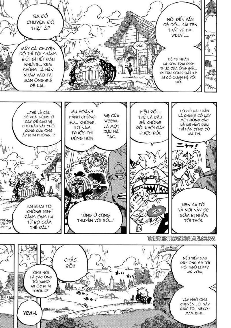 đảo hải tặc - one piece chapter 909 7