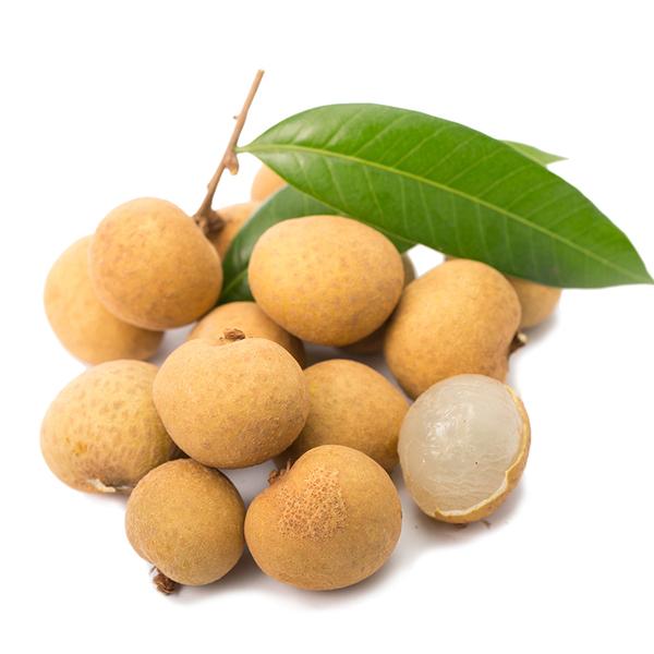 Cây NHÃN HẠT LÉP IDO