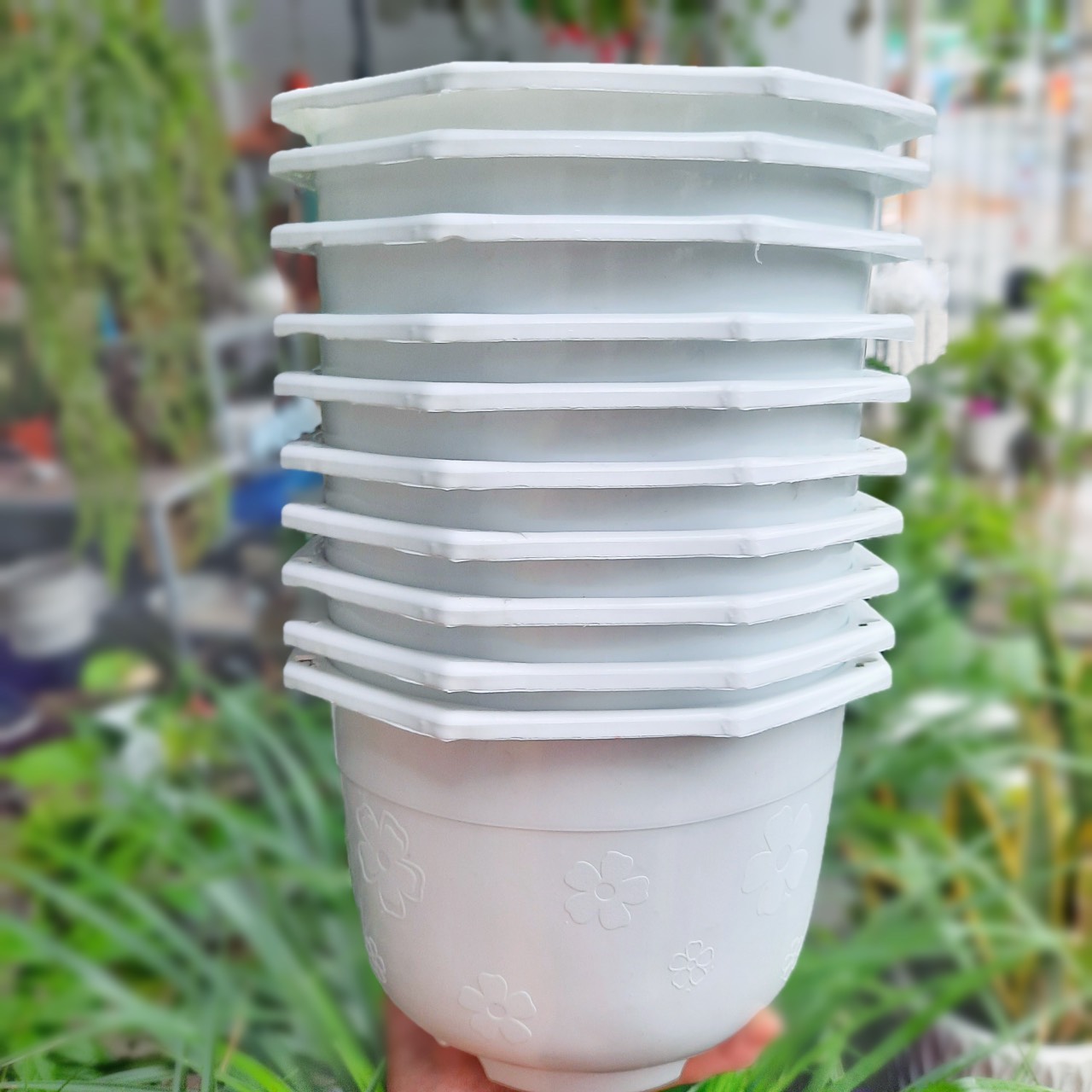 Chậu Nhựa TREO 2 size xinh xắn