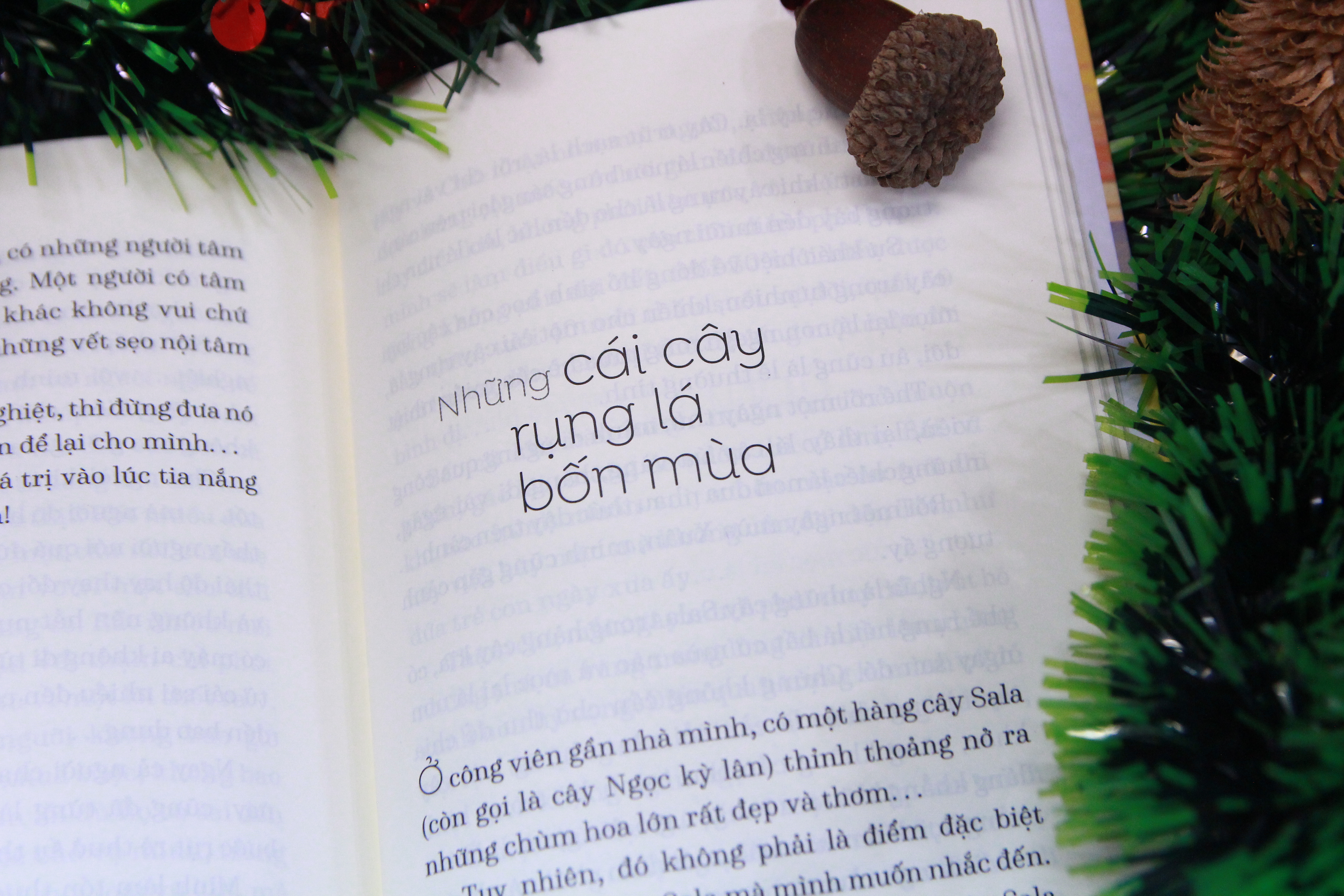 Chúng ta sống để bước tiếp