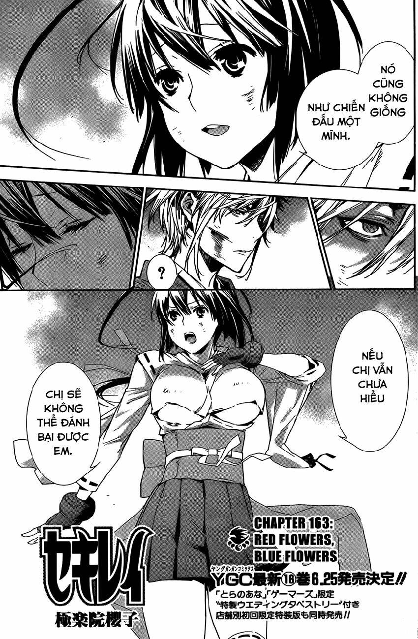 sekirei chapter 163 1
