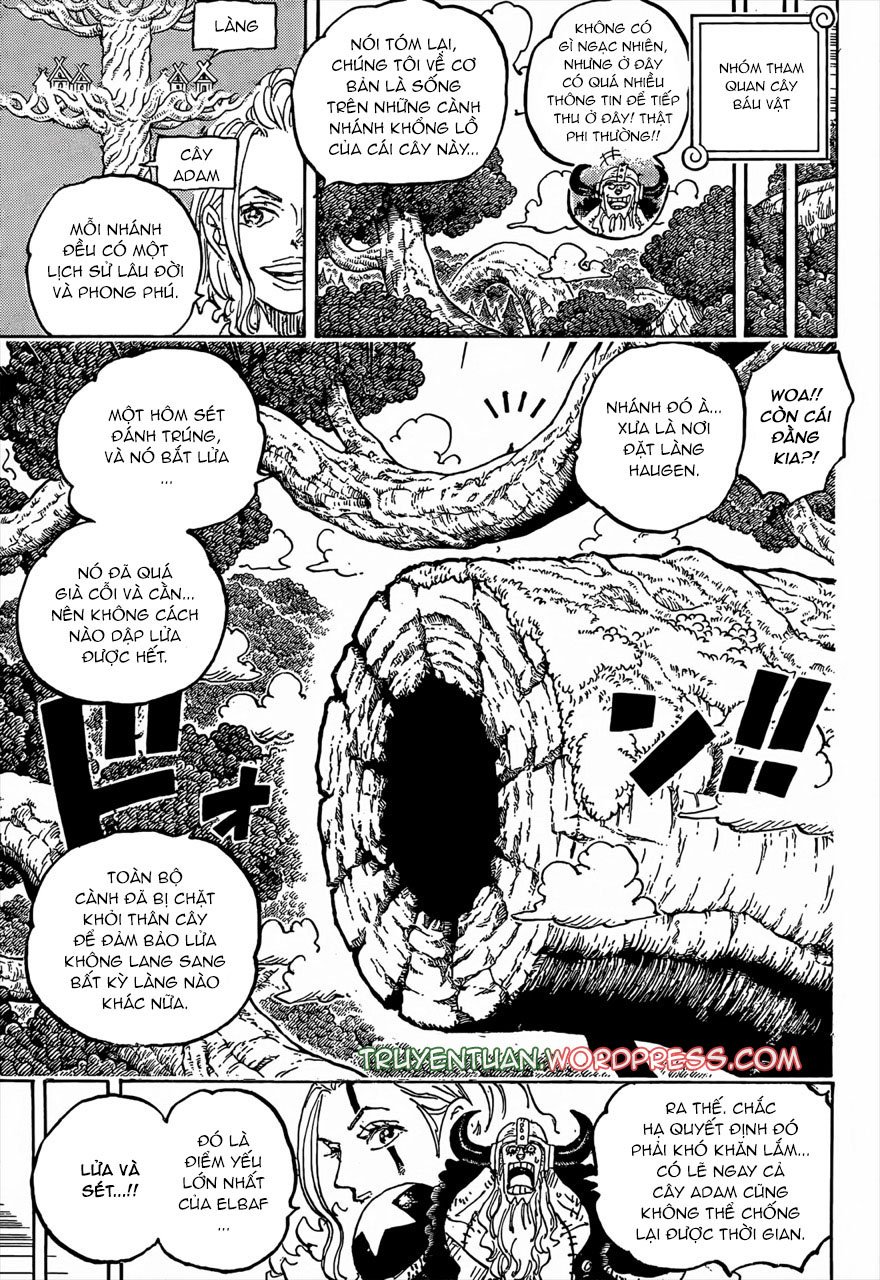 đảo hải tặc - one piece chapter 1141 3