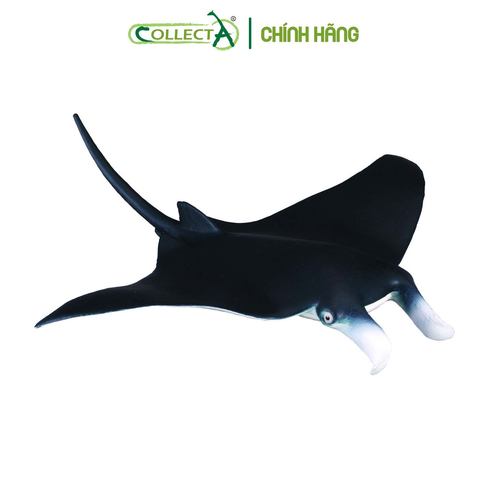 Mô hình thu nhỏ: Cá Đuối - Manta Ray, hiệu: CollectA, mã HS 9652010[88040] -  Chất liệu an toàn cho trẻ - Hàng chính hãng