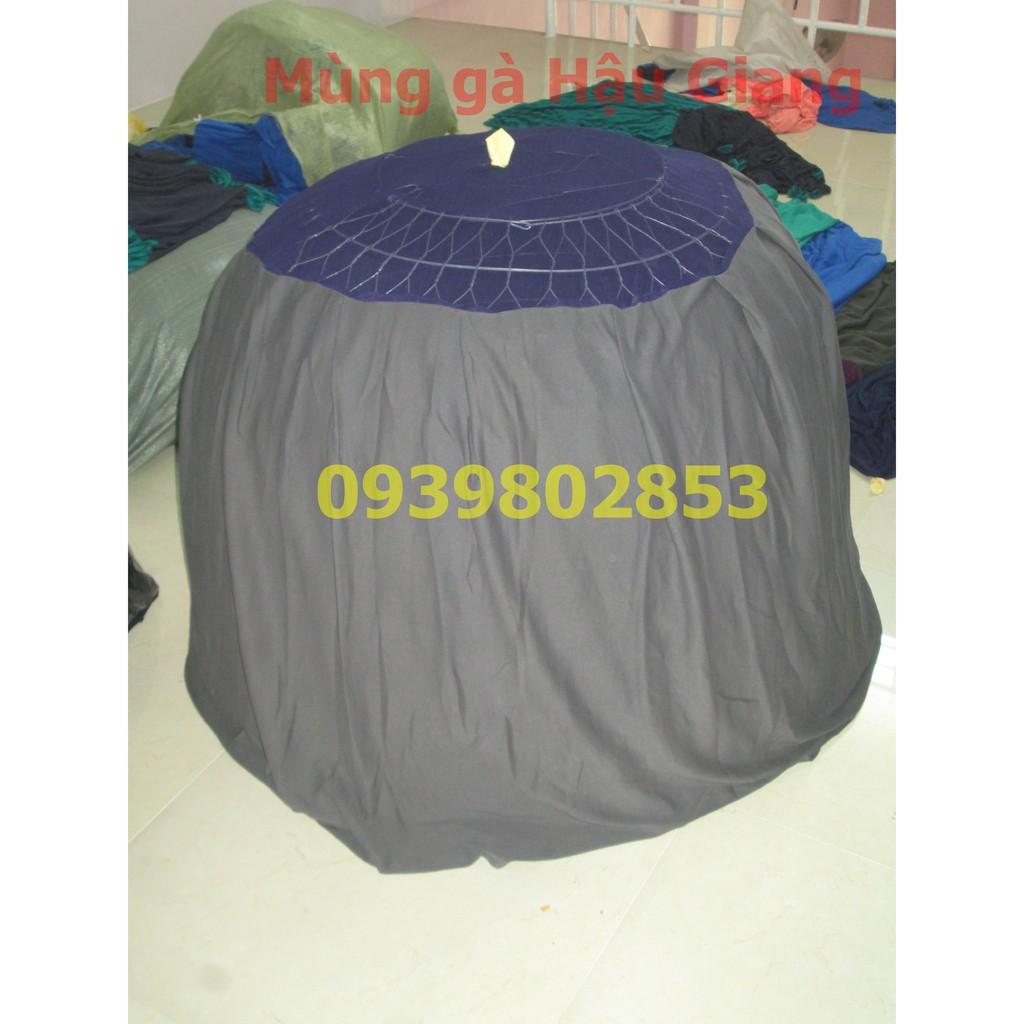 Mùng gà nòi loại tốt