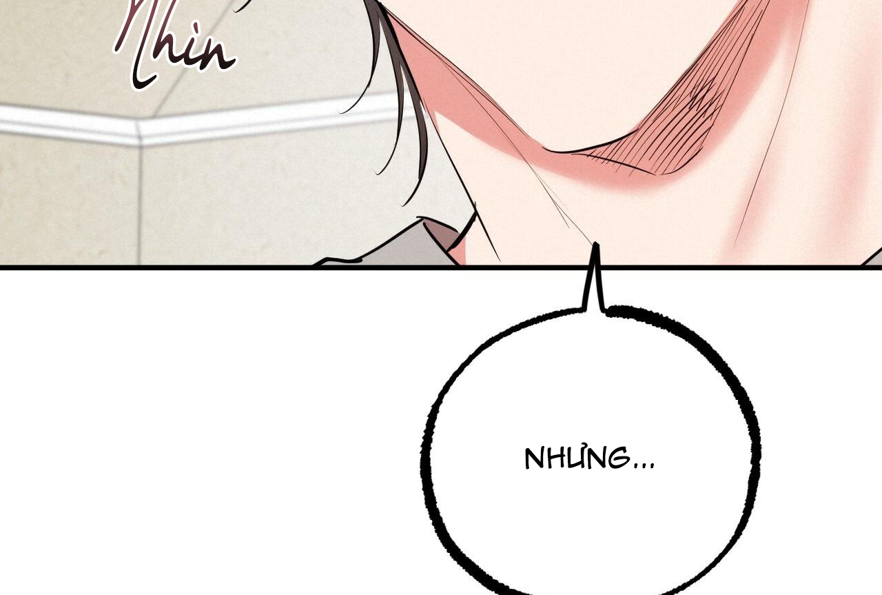 đàn thỏ của habibi chapter 32 28