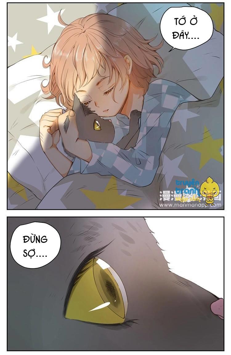 cứu mạng ! loài mèo thống trị thế giới rồi ! chapter 26 11