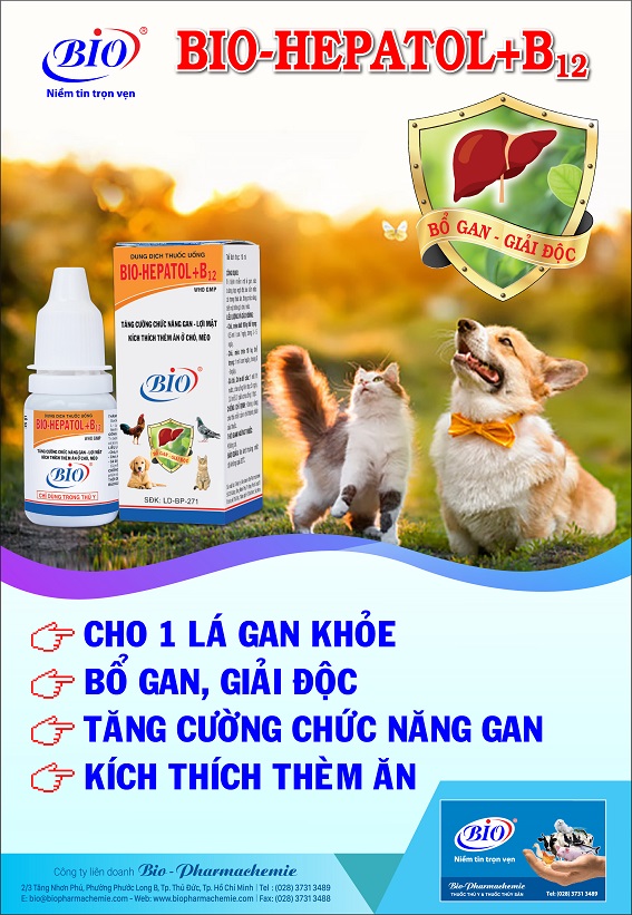 Bio Hepatol B12 mát gan, giải độc, kích thích thèm ăn cho thú cưng