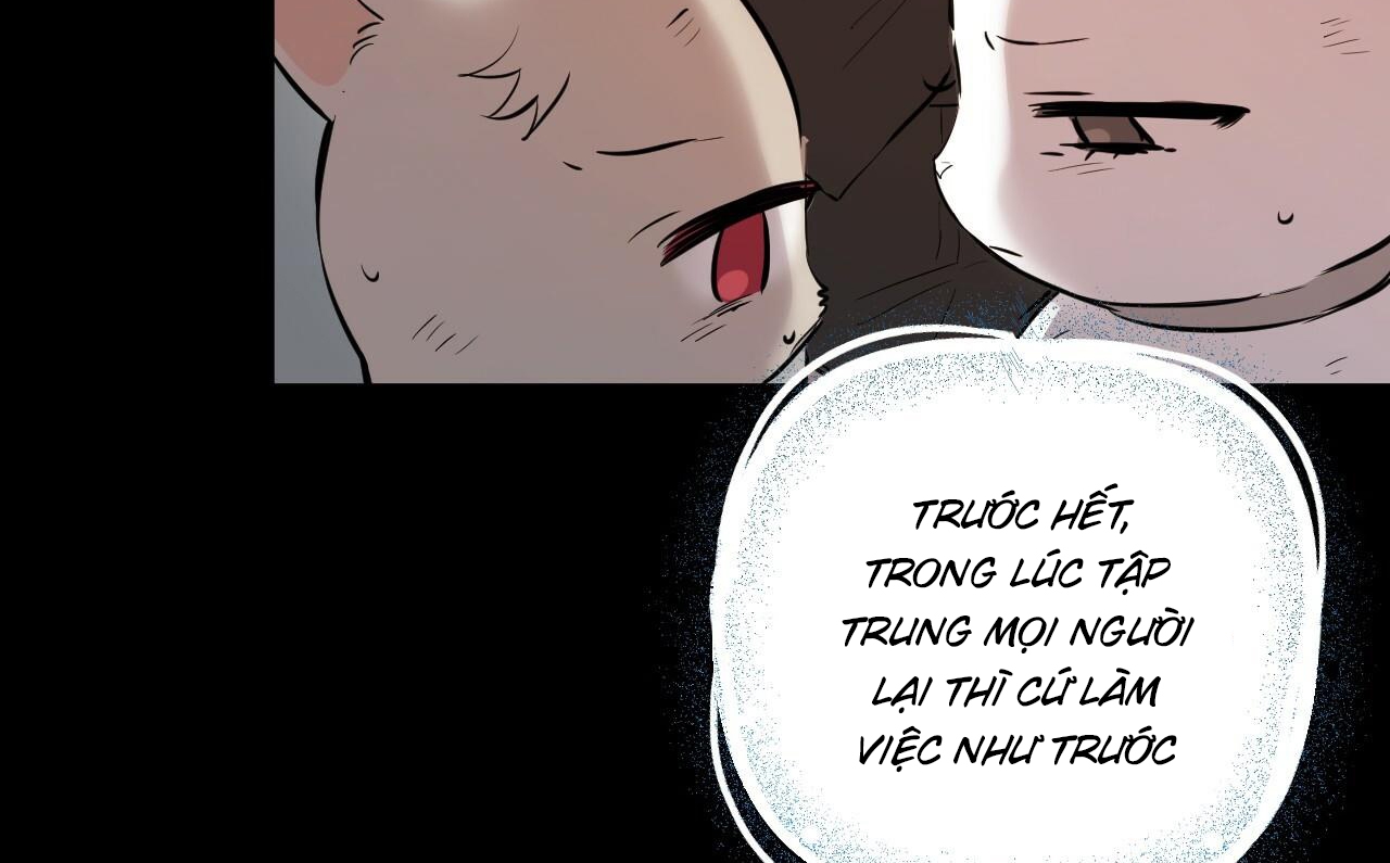 những chú thỏ của hapypy chapter 52 20