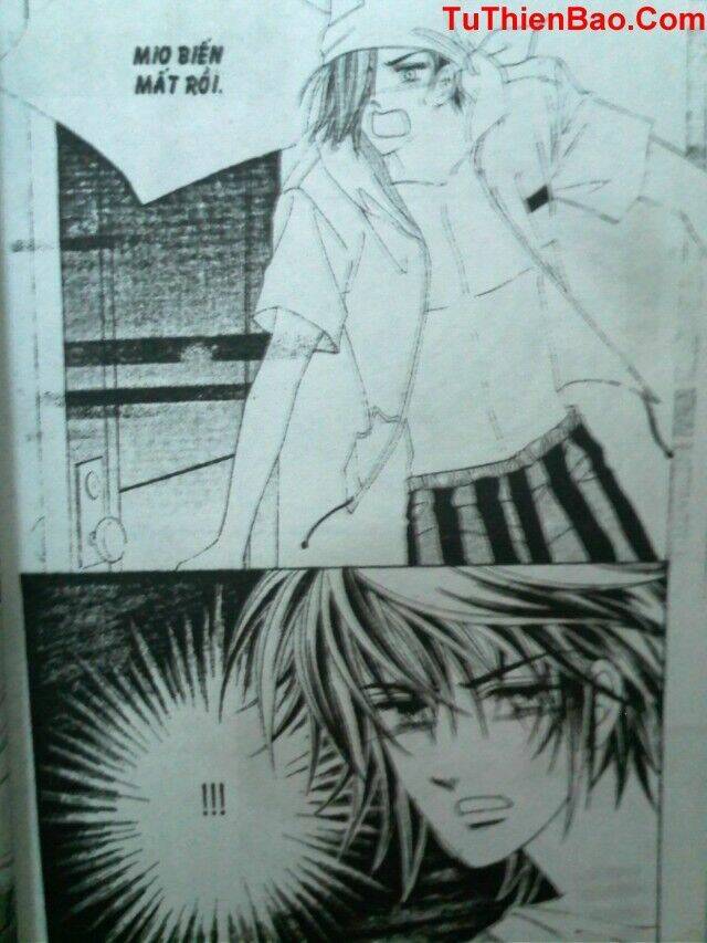 cô nàng xinh đẹp chapter 8 14