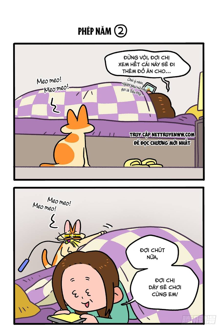 a mãn và mạch trà chapter 136 3