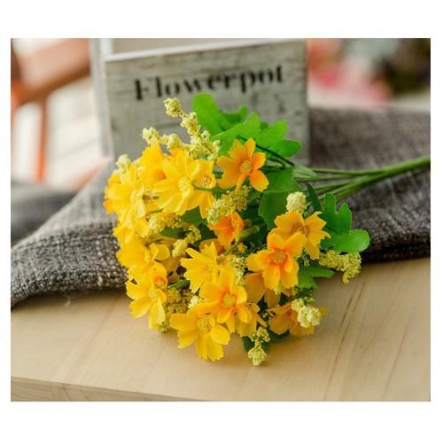 Cụm cúc cánh xẻ nhí