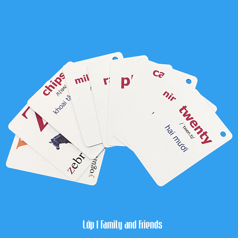 Flashcard Tiếng Anh Family and Friends lớp 1, có phát âm, hình ảnh sinh động