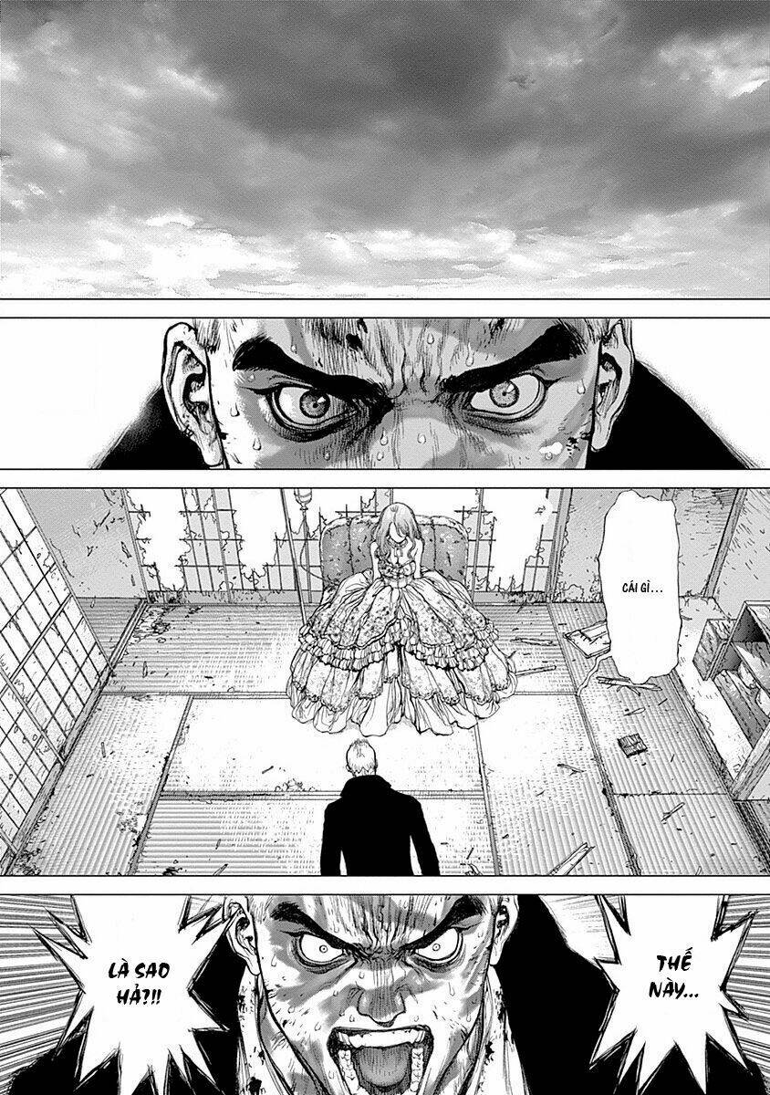 wallman chapter 22 25