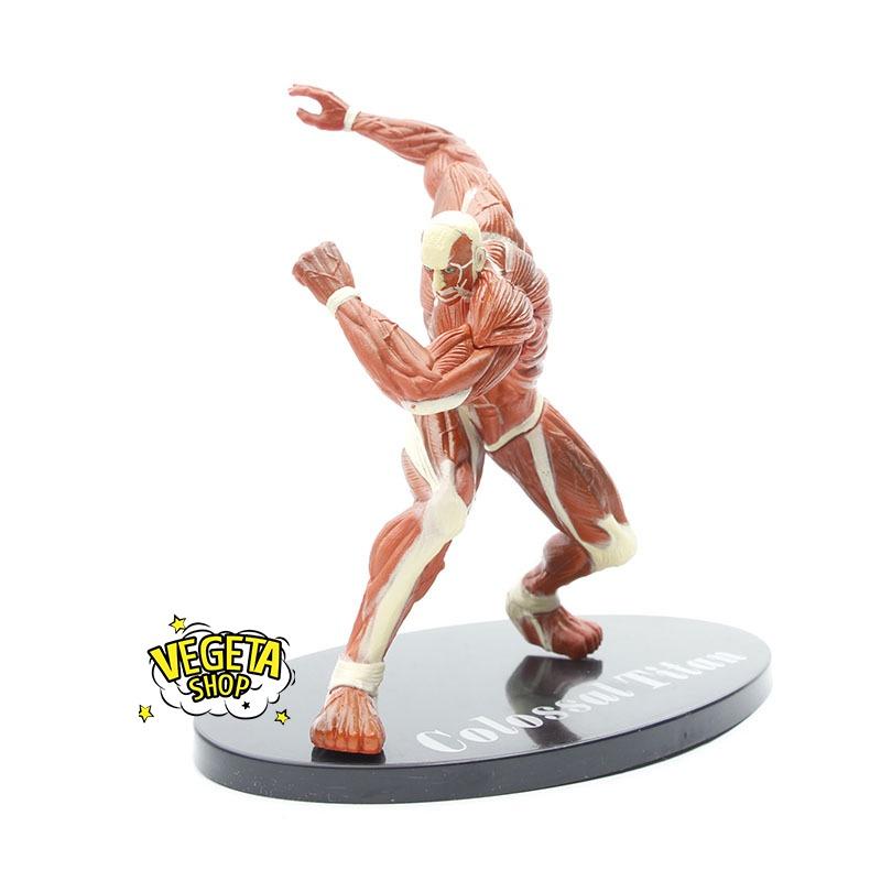 Mô hình Attack On Titan - Titan khổng lồ Colossal Titan - Armin Arlert Bertolt Hoover - Titan đại hình - Fullbox - 17cm