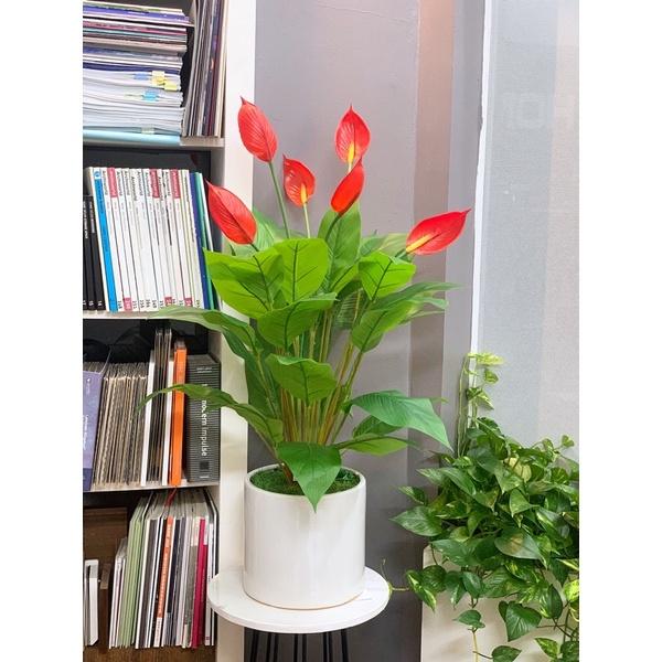 Cây giả trang trí tiểu cảnh cao 90cm kèm chậu nhựa, cây lan cảnh 3 bông hoa đẹp giống thật decor nội thất FLY-01