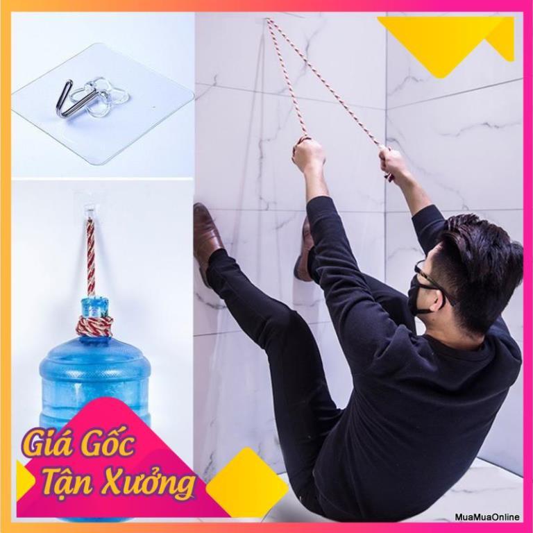 Set 5 Móc Treo Dán Tường Trong Suốt Cao Cấp TP'S