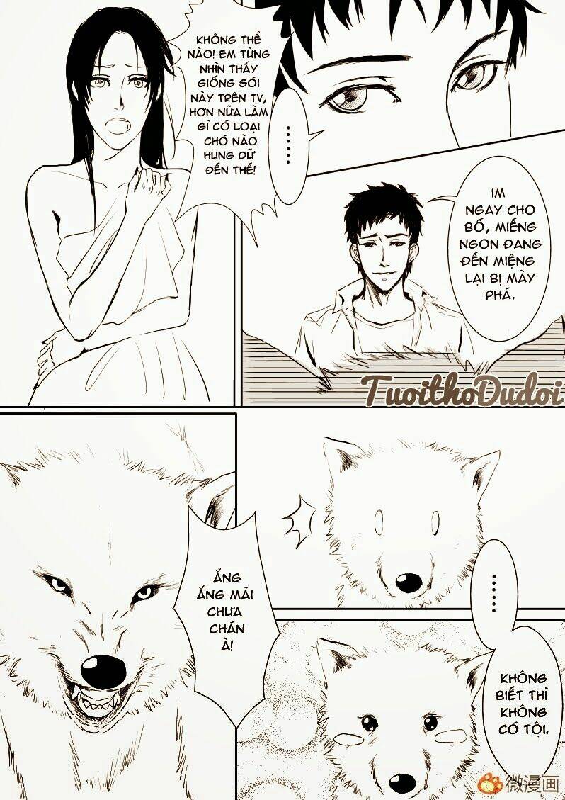 sự mê hoặc của sói chapter 7 9