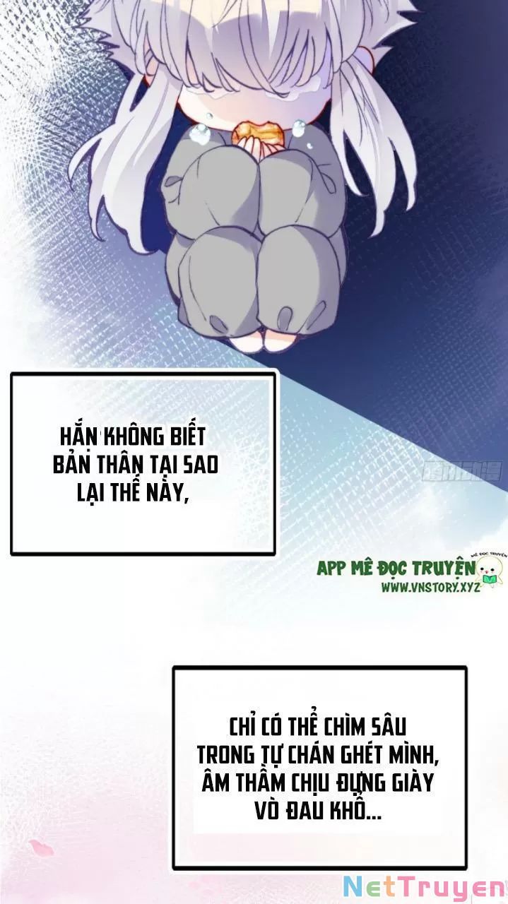 lại bị bệnh chiều chuộng quấn lấy chapter 21 12