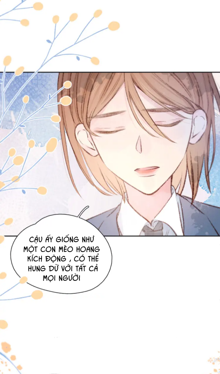 nỗi buồn của hoa cẩm tú cầu chapter 41 31