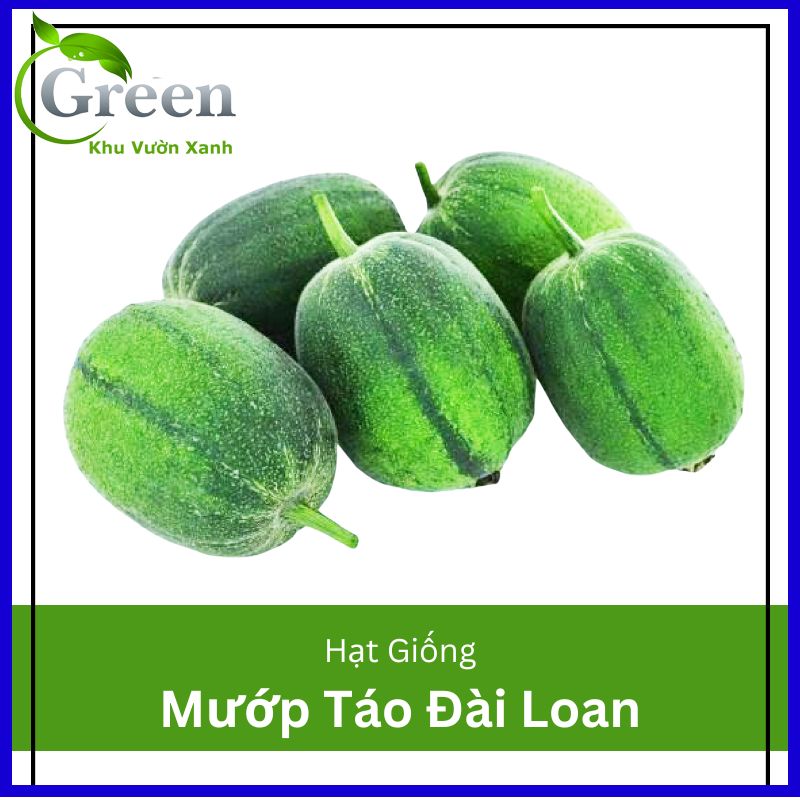 Hạt Giống Mướp Táo Đài Loan