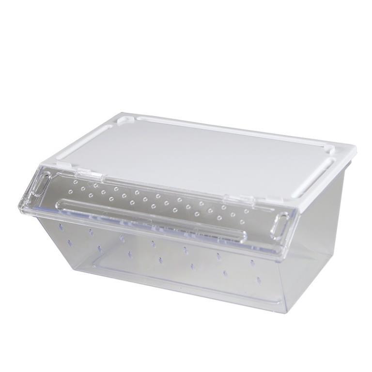 Chuồng Bò Sát Hộp nuôi thú cưng Hộp nuôi côn trùng Hộp nuôi cá Hộp nuôi rùa petstore
