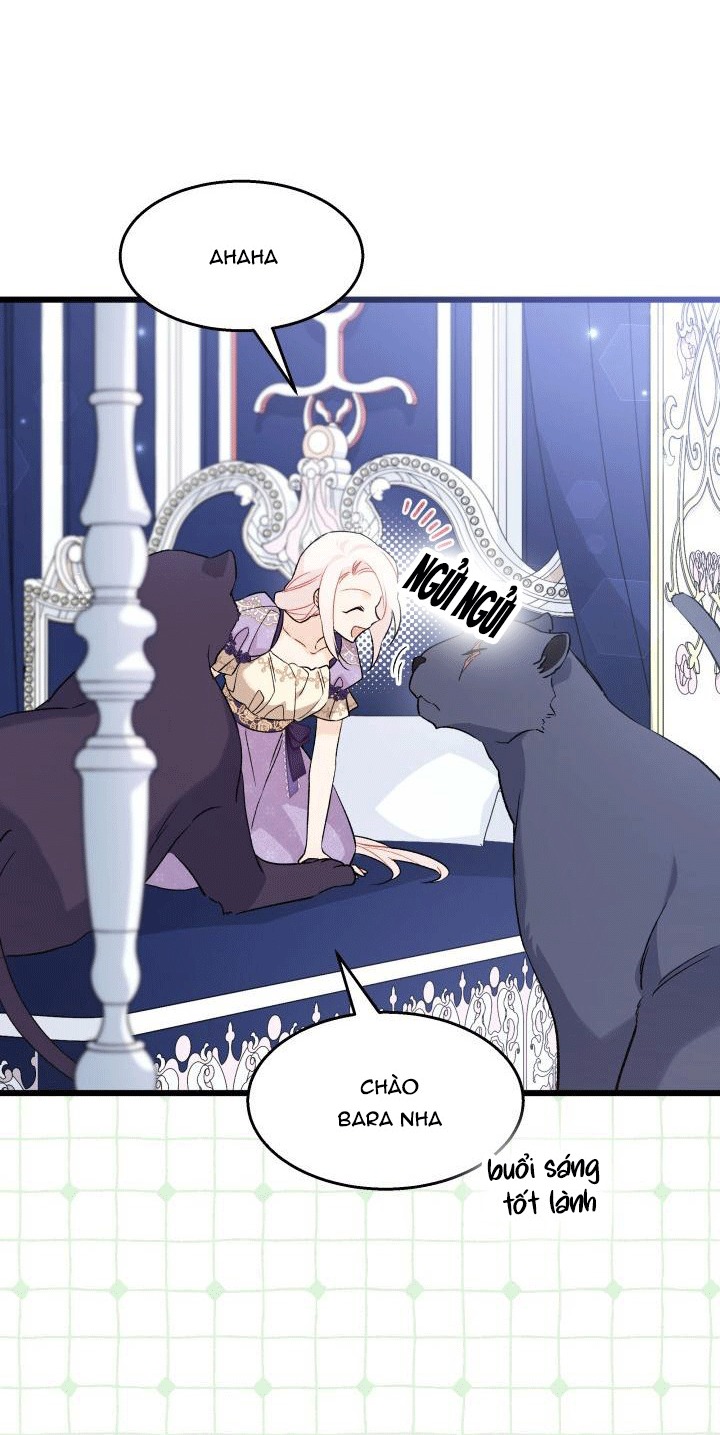 mối liên kết giữa báo đen và bé thỏ chapter 90 11