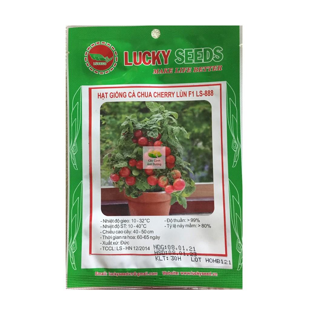 Hạt giống cà chua cherry lùn