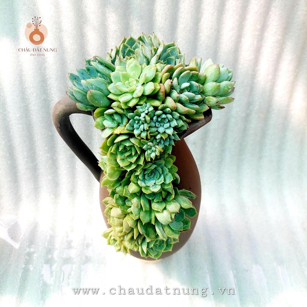 Chậu đất nung - Bình sữa xẻ 1029, miệng chậu 10cm, chiều cao 29cm