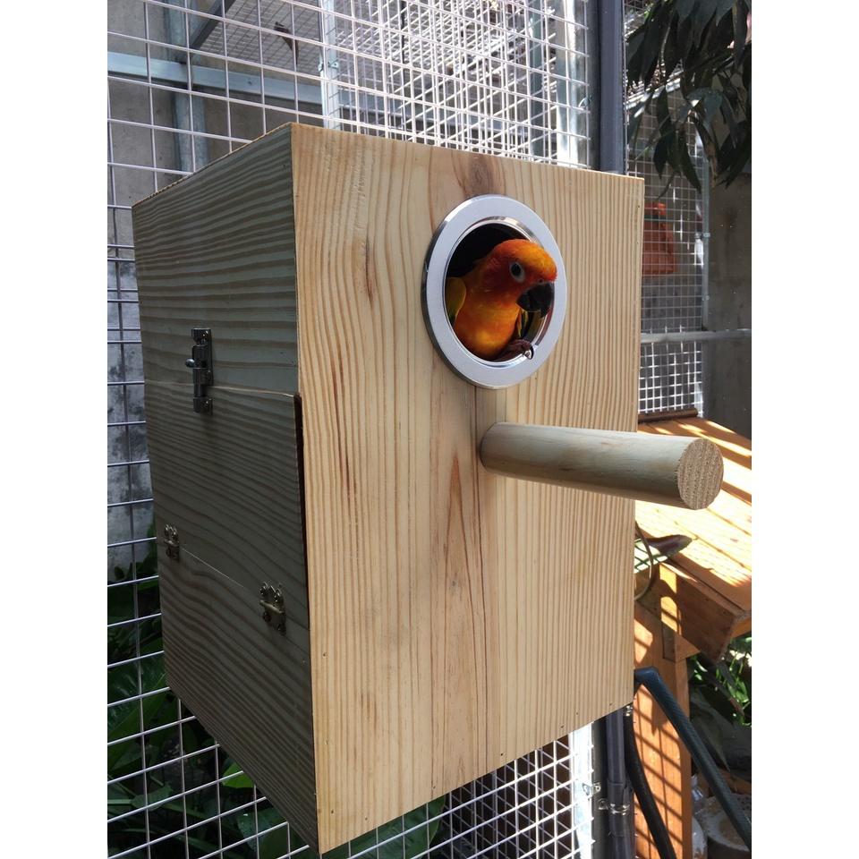 1 TỔ SUN CONURE GỖ THÔNG MỸ ,DÀY, CHẮC CHẮN , CÓ BO VIỀN NHÔM VÀ LÓT KIM LOẠI BÊN TRONG TỔ