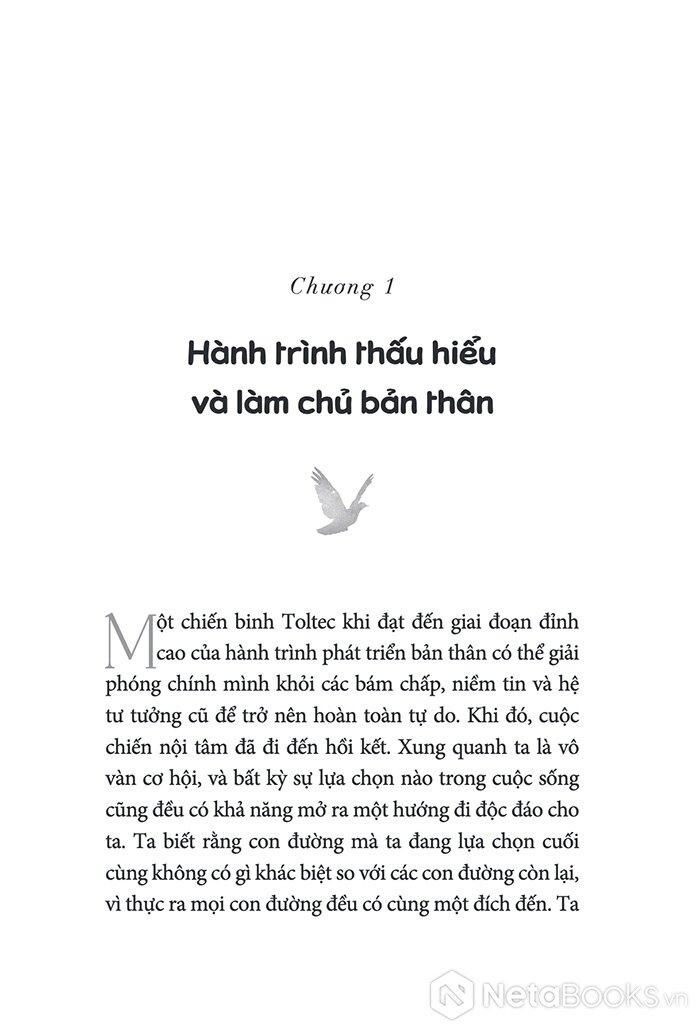 The Mastery Of Self - Hành Trình Thấu Hiểu Bản Thân Và Tìm Thấy Tự Do - Don Miguel Ruiz Jr