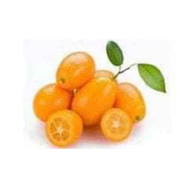 Cây Quất Ngọt