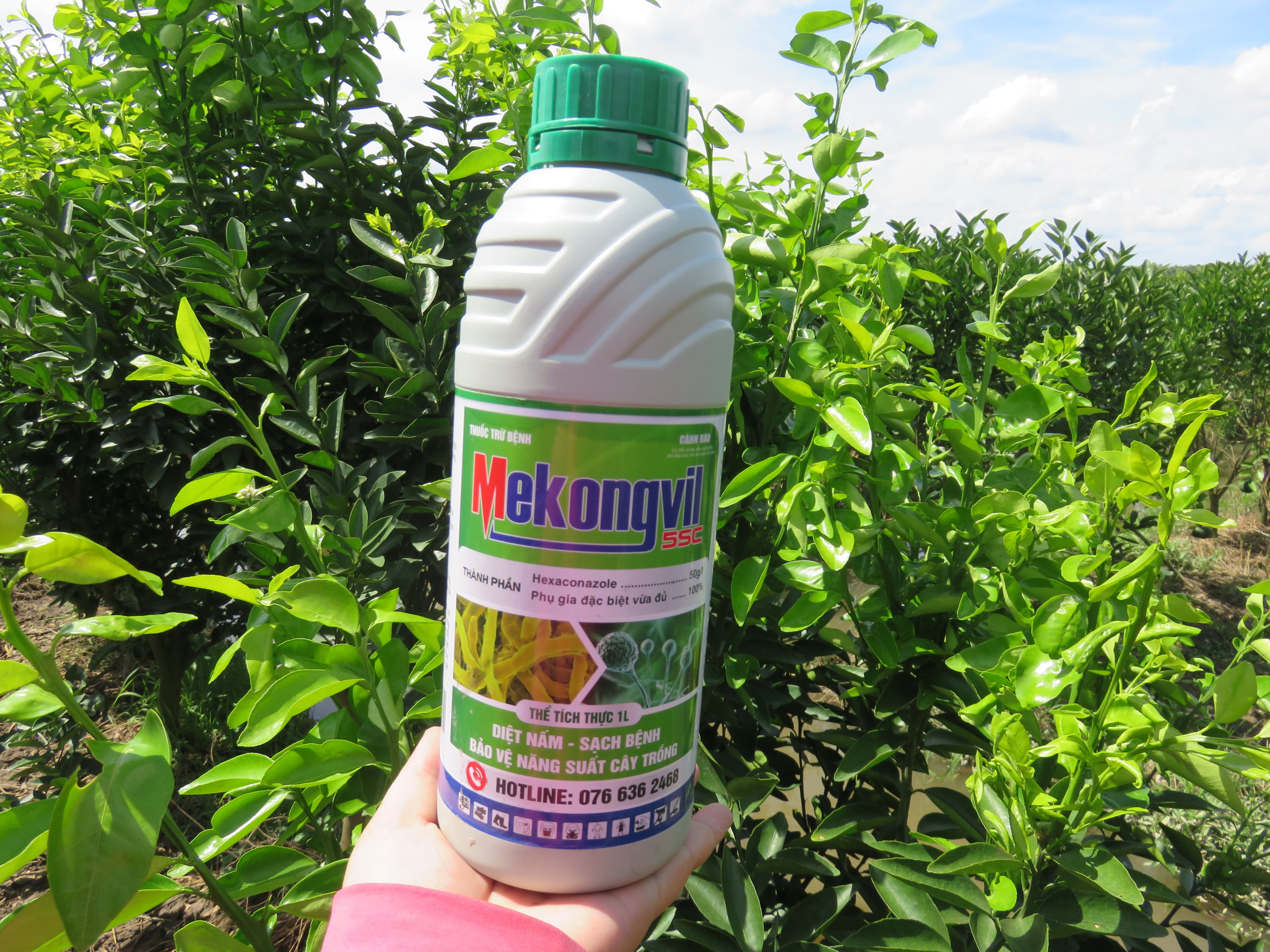 MEKONG VIL 5SC - phòng trừ nấm hại cây- hoạt chất hexaconazole