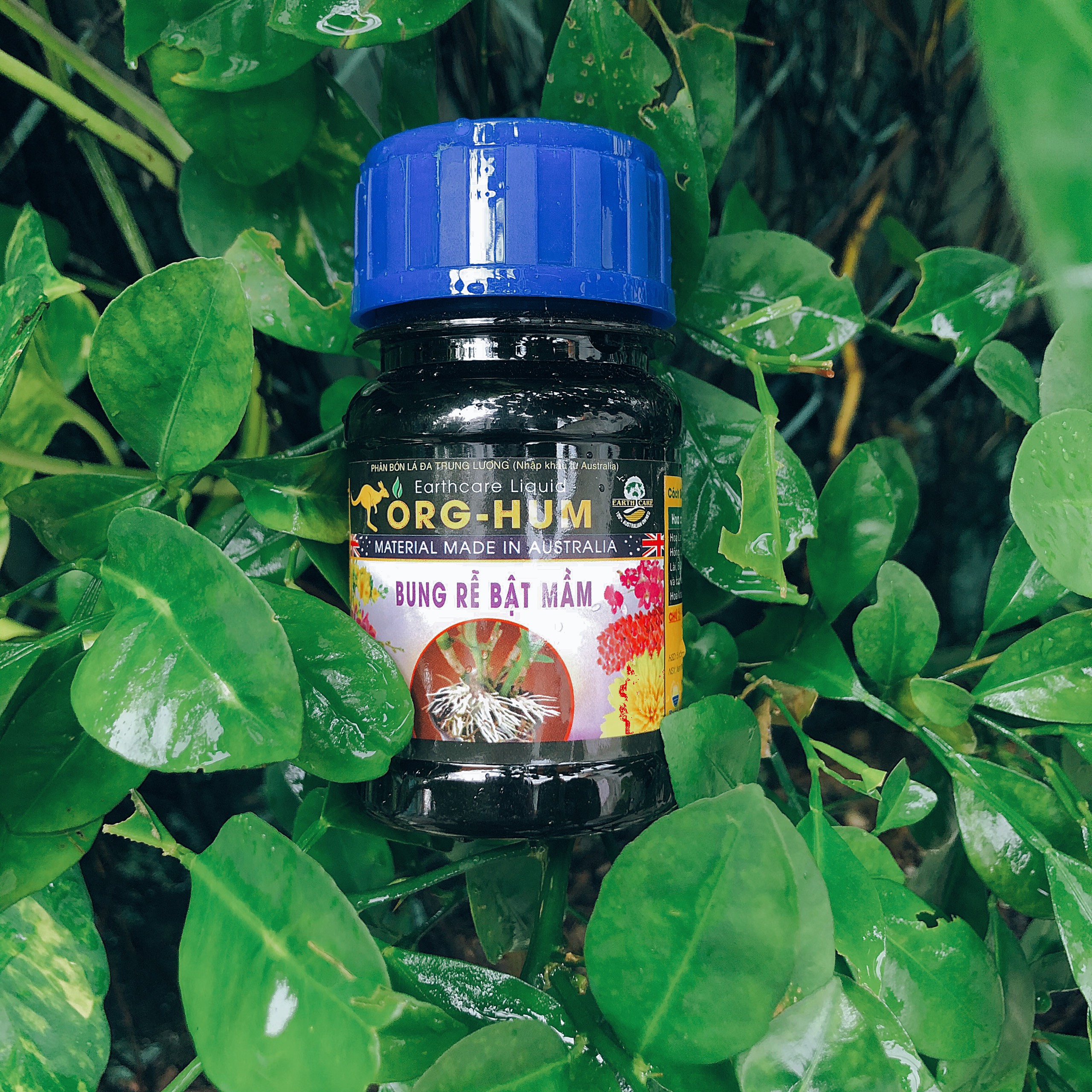 Phân bón lá ORG -HUME kích rễ cây trồng cực tốt chai 100ml