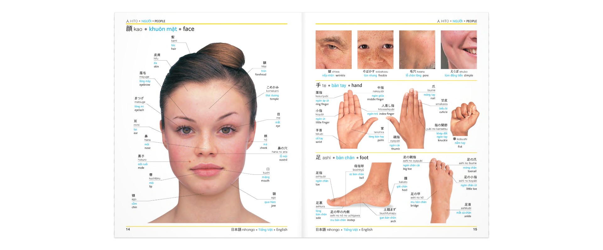 DK Trilingual Visual Dictionary – Japanese-Vietnamese-English