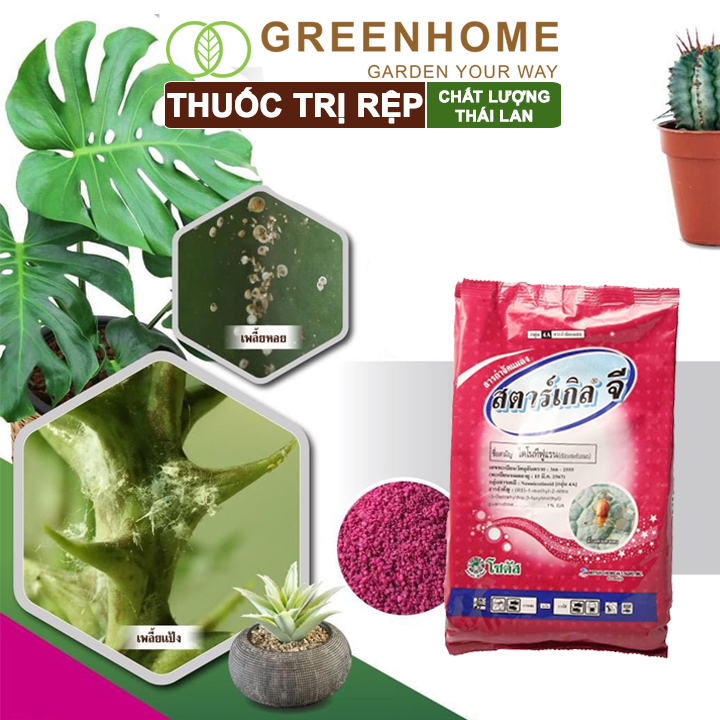 Thuốc Tím Trị Rệp Greenhome, Starkle-G, Bao 50gr, Lưu Dẫn, An Toàn, Hiệu Quả, Dùng Cho Sen Đá, Xương Rồng, Hoa hồng