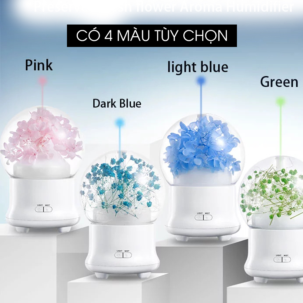 Máy Phun Sương Mini Cẩm Tú Cầu | Giúp Tạo Ẩm, Xông Phòng, Đuổi Muỗi | Tặng 3 Chai Tinh Dầu Kobi Sả Chanh + Bạc Hà + Oải Hương Nhập Khẩu Ấn Độ