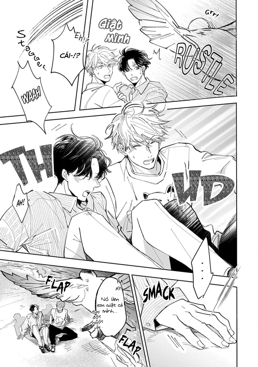 đợi đã, em yêu anh chapter 3 15