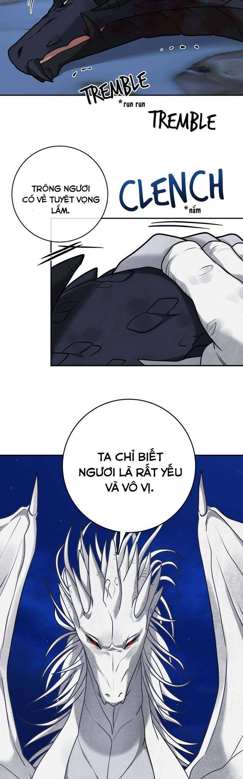 nhật ký tuần trăng mật của phù thủy và rồng chapter 111 20