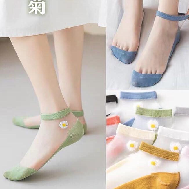 Lố 10 đôi tất giấy hoa cúc màu hottrend siêu yêu