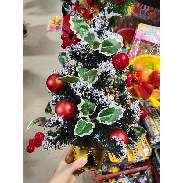 Cây thông noel mini