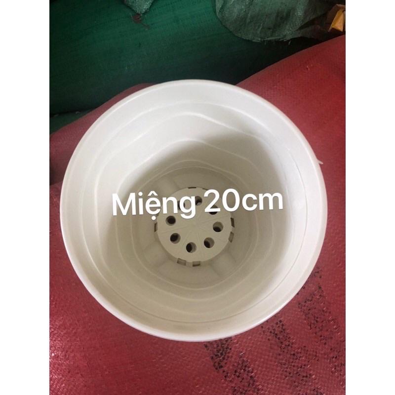 Chậu nhựa treo sóng biển màu trắng